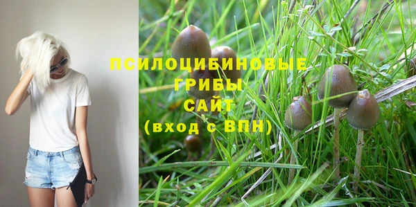 гидропоника Киренск