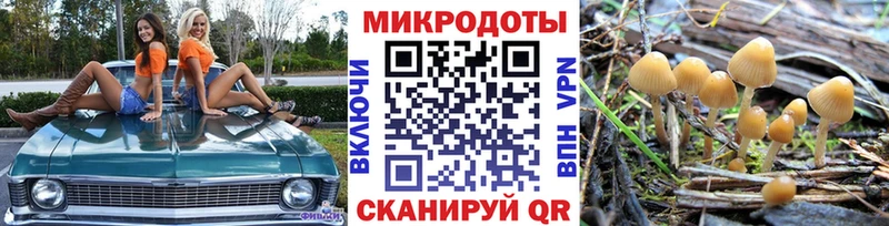 mega онион  наркотики  Екатеринбург  Галлюциногенные грибы GOLDEN TEACHER 