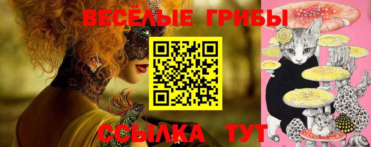 Псилоцибиновые грибы прущие грибы Екатеринбург