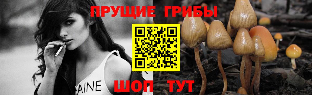 Галлюциногенные грибы Magic Shrooms  Псилоцибиновые грибы Psilocybine cubensis  Екатеринбург  Вход с VPN 